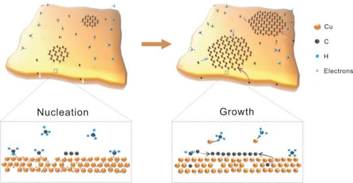 ©Science China Press