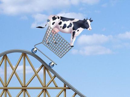 Wie sich Milcherzeuger gegen schwankende Milchpreise wappnen können