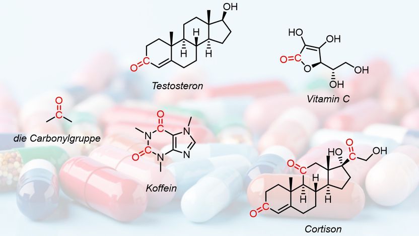 © Universität Wien/Maulide Group