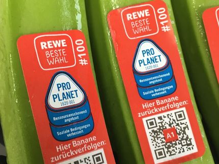 Als erster großer Lebensmitteleinzelhändler in Deutschland ermöglicht REWE bei den Bananen seiner Eigenmarken die Rückverfolgbarkeit bis zum Erzeugerbetrieb.
