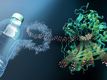 „Molekulare Schere“ für den Plastikmüll