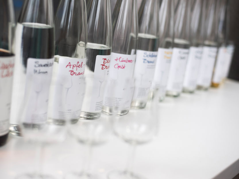 Spitzen-Spirituosen: Uni Hohenheim erhält DLG-Preis für langjährige Produktqualität