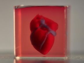 First 3D heart using patient's biological materials printed