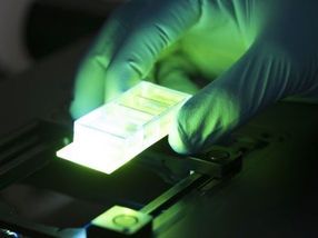 Detecting pathogens using quantum technology