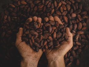 Deutsche Süßwarenindustrie begrüßt Verabschiedung des Internationalen ISO-Standards „Nachhaltiger und rückverfolgbarer Kakao“