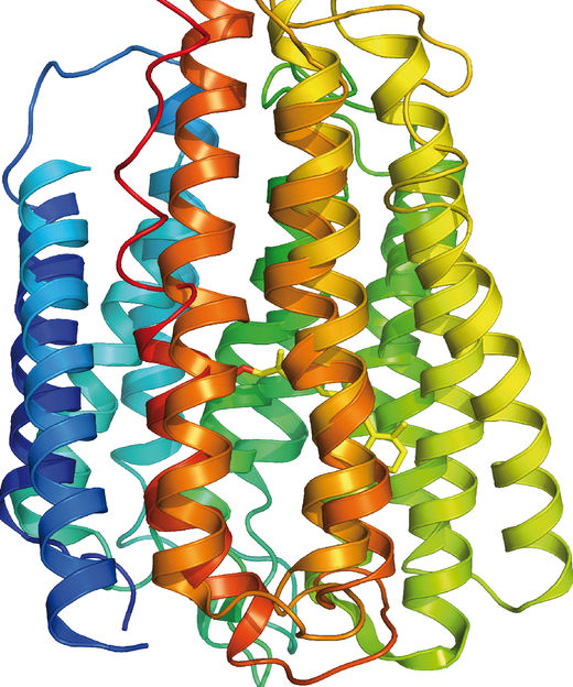 © Lehrstuhl für Biophysik