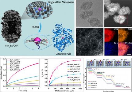 Nueva clase de nanozimas de un solo átomo