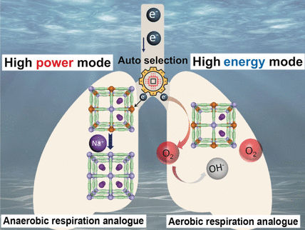 Elektrochemische Energie aus Meerwasser