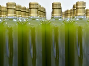 Massenweise falsches Olivenöl nach Deutschland verkauft