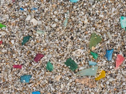 Microplastics in freshwaters