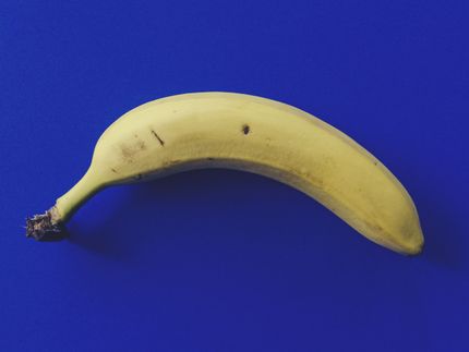 Lidl muss bei Fairtrade-Bananen zurückrudern