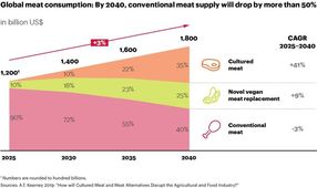 Entwicklung des Fleischkonsums bis 2040.