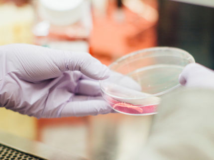 Edible insects? Lab-grown meat?