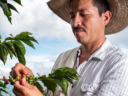 Nespresso helps revive coffee in El Rosario, Colombia