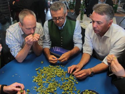 Nach der Hopfenernte wird traditionell im Herbst bei der Hopfenbonitierung gemeinsam mit den Hopfenbauern die Qualität der Ernte bestimmt.