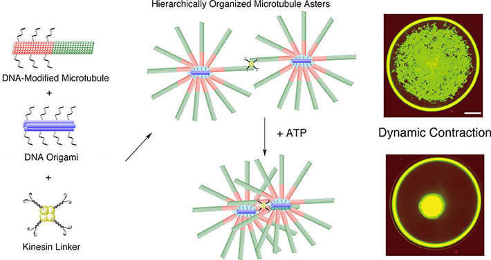 Matsuda K. et al., Nano Letters, April 30, 2019