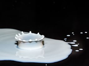 Hochwald will dauerhaft überdurchschnittlichen Milchpreis zahlen