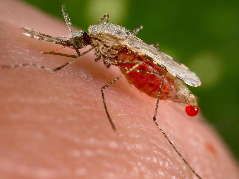 Controlling deadly malaria without chemicals - Scientists identifies new tool to kill mosquitoes