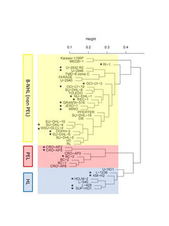 Leibniz Institut DSMZ