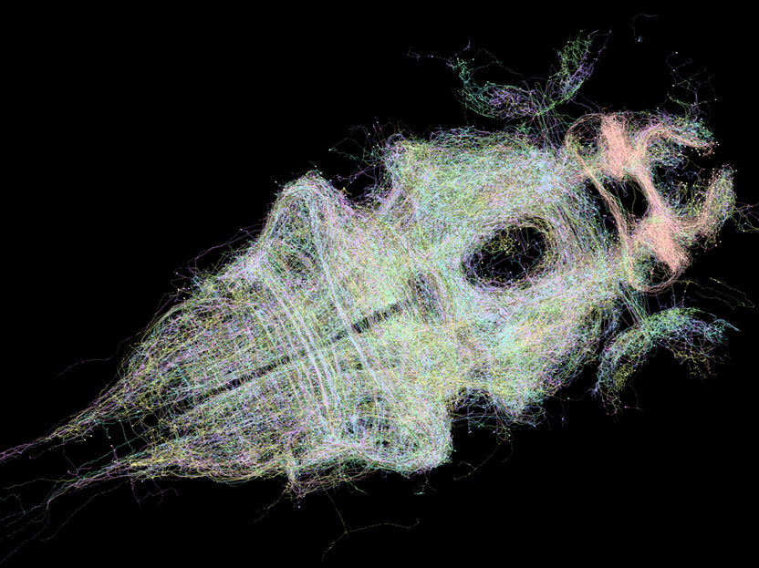 MPI für Neurobiologie / Kunst