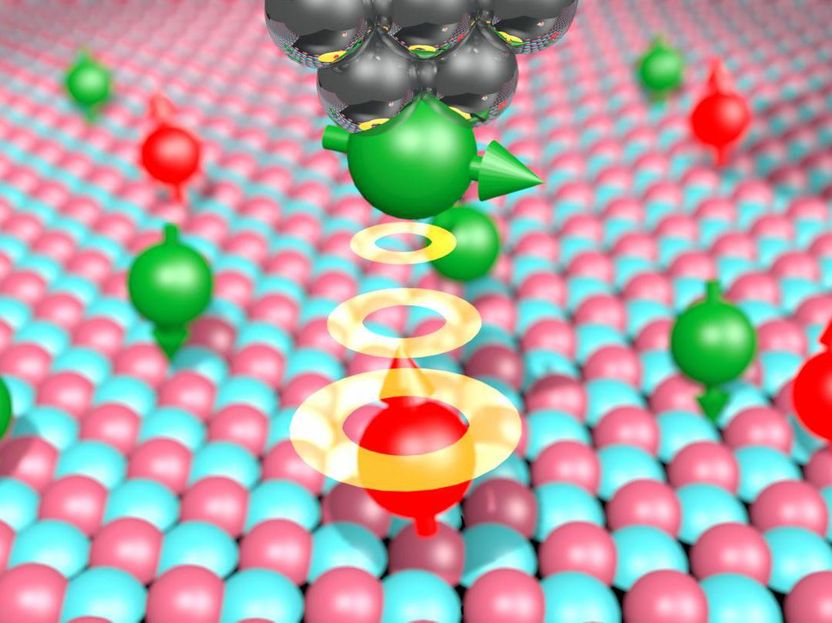 Weltweit kleinstes MRT an einzelnen Atomen - Die Magnetresonanztomographie ermöglicht es, das Magnetfeld einzelner Atome mit beispielloser Auflösung abzutasten