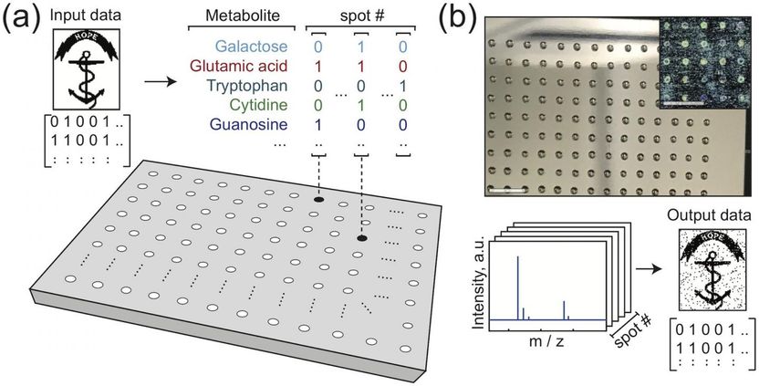 Kennedy et al., 2019