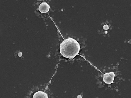 Tungsten as interstellar radiation shielding?