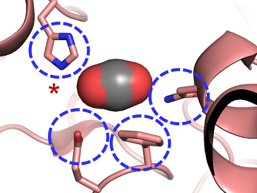 Lessons from natural photosynthesis: conversion of CO2 to raw materials for  plastic!