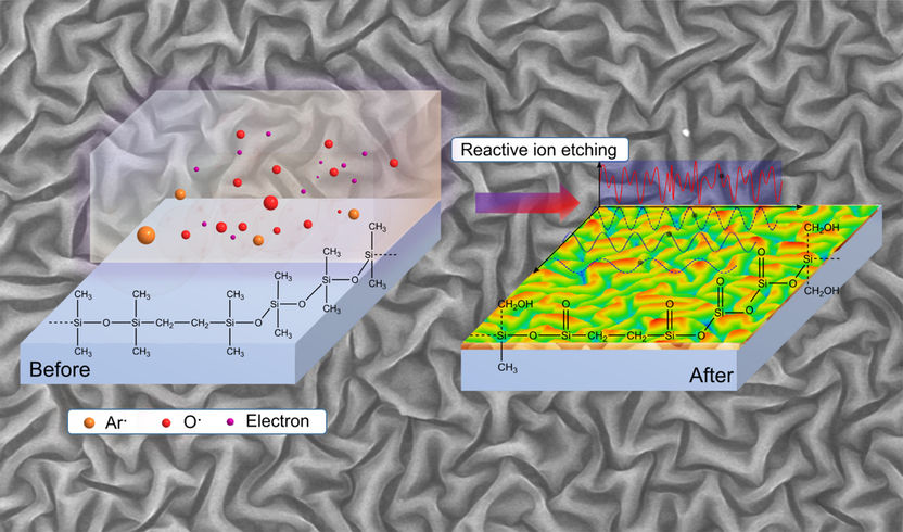 (c) Sebastian Reineke et al., Nature Communications: CC BY 4.0