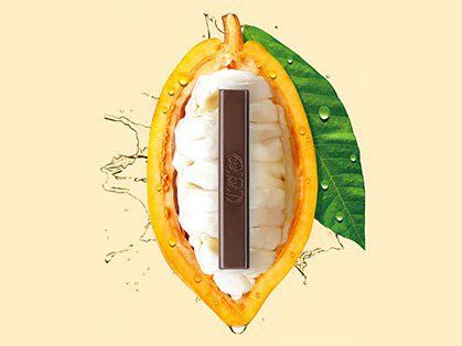 Nestlé inventa el primer chocolate negro al 70% hecho enteramente de fruta de cacao y nada más.