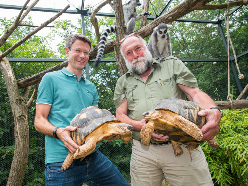 Blutproben aus dem Zoo helfen bei der Vorhersage von Krankheiten beim Menschen