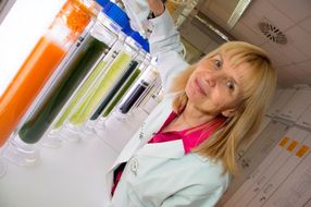 Professor Carola Griehl and her team at Anhalt University are investigating green, blue and red algae strains.