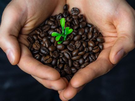 Umsatz mit fair gehandelten Produkten steigt, bleibt aber gering