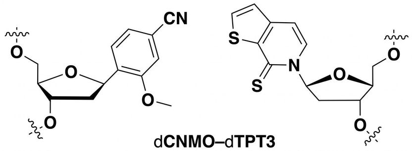 Adapted from Journal of the American Chemical Society 2019, DOI: 10.1021/jacs.9b02075