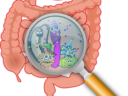 Can gut infection trigger Parkinson's disease?