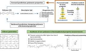 Successful application of machine learning in the discovery of new polymers