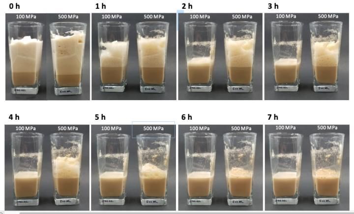 Leche en polvo: ¿cuál es su uso como aditivo?