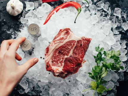 Polish Minister of Agriculture announces new legal solutions in the meat sector
