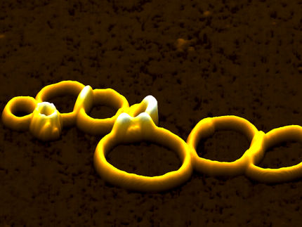 Self-organizing molecules: Nanorings with two sides