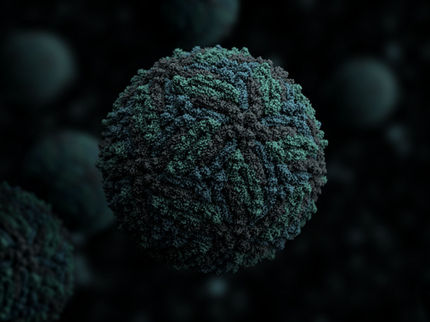 Hallan una proteína fundamental en el control de las infecciones virales