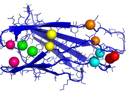 AI to Predict the Protein Structure