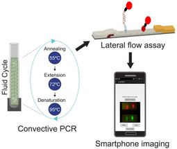 Usando puntos cuánticos y un teléfono inteligente para encontrar bacterias asesinas