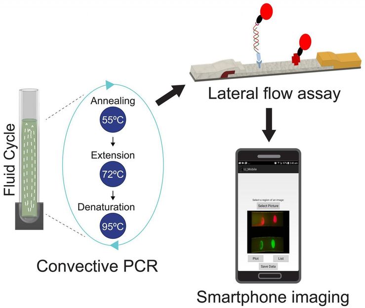 In Glowing Colors: Seeing the Spread of Drug Particles in a Forensic Lab