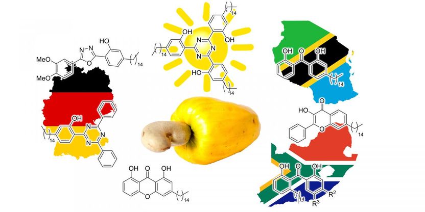 Green chemists find a way to turn cashew nut shells into sunscreen - Produce useful compounds from non-edible plant waste through xylochemistry