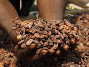 Lebkuchen-Schmidt stellt komplett auf Fairtrade-Kakao um