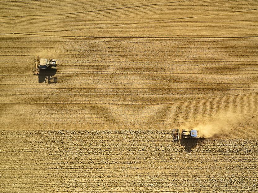 Wieder schwierige Ernte - Bauernverband zieht Bilanz