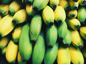 La industria bananera en alerta después de la llegada de la enfermedad a Colombia