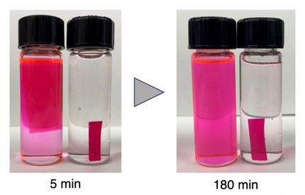 Making polyurethane waste degradable gives its components a second life