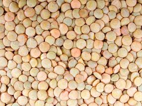 Burcon receives U.S. Patent and Trademark Notice for Pea Protein Peazazz