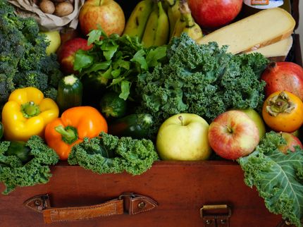 Millions of children get fruit and vegetables from EU programme